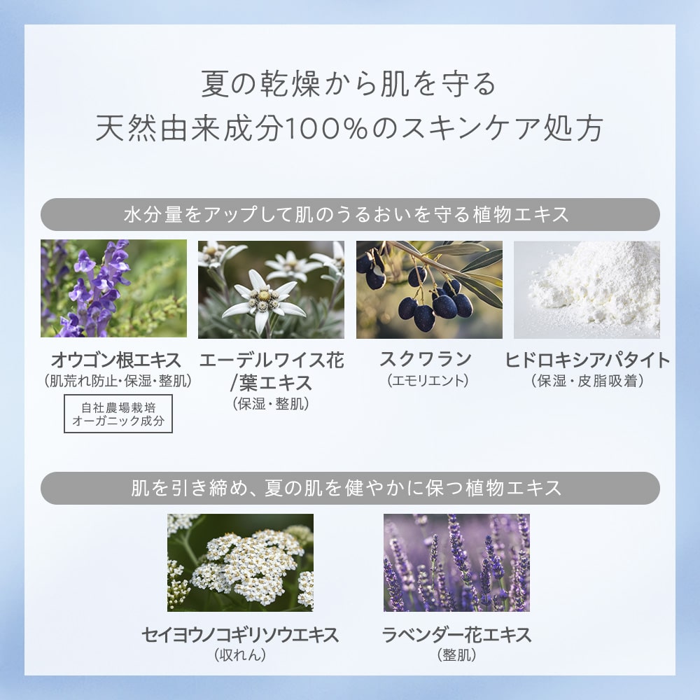 【Naturaglace】 輕盈防曬蜜粉 SPF50+PA+++  8g